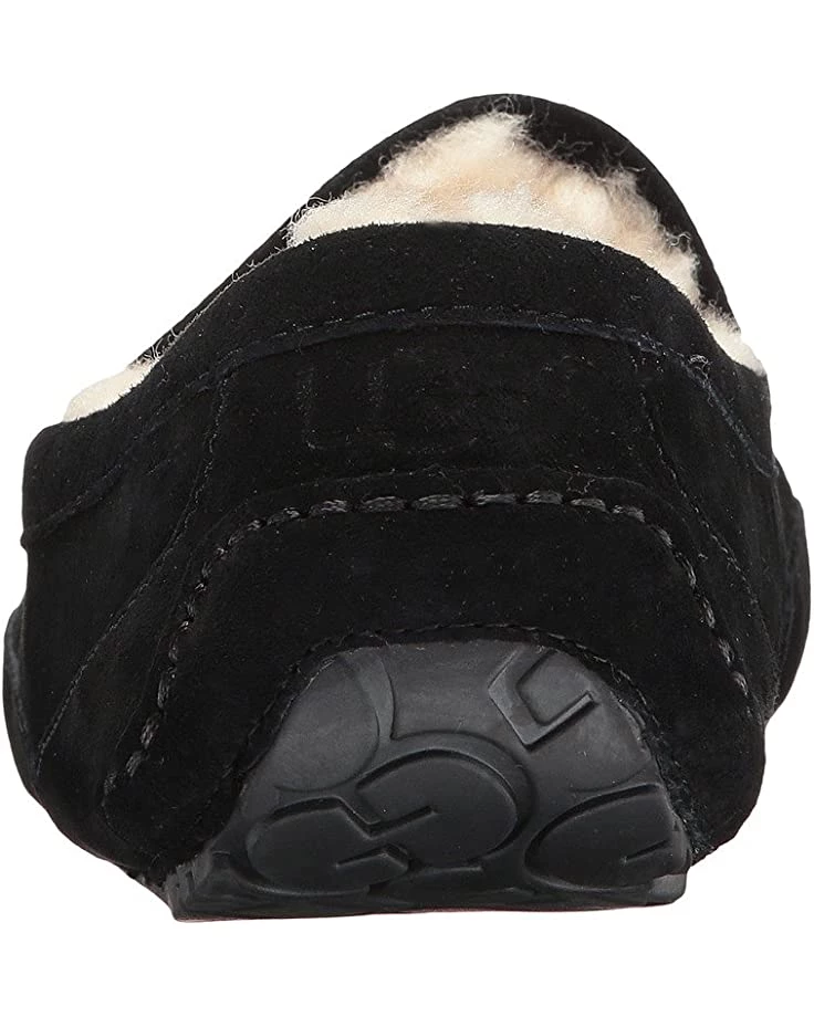 UGG Slippers Ascot 7 UGG Slippers Ascot - Image 5