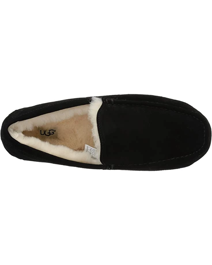 UGG Slippers Ascot 4 UGG Slippers Ascot - Image 2