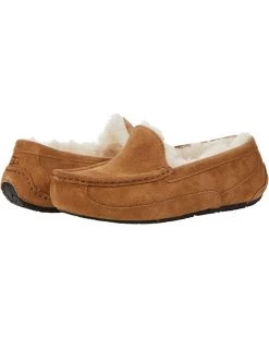 UGG Kids Slippers Ascot (Little Kid/Big Kid) -Cheap UGG Store 714bcE6qyVL. AC SR736920