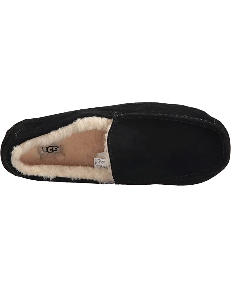 UGG Slippers Ascot 4 UGG Slippers Ascot - Image 2