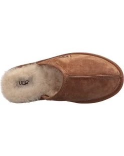 Cheap UGG Store -Cheap UGG Store 816dtiZzVHL. AC SR736920
