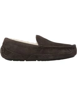 UGG Slippers Ascot - WIDE -Cheap UGG Store 81RqqavZ L. AC SR736920