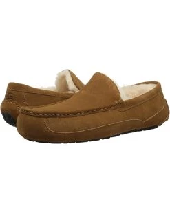 UGG Slippers Ascot 21 UGG Slippers Ascot -Cheap UGG Store 81S2c6m1JVL. AC SR736920